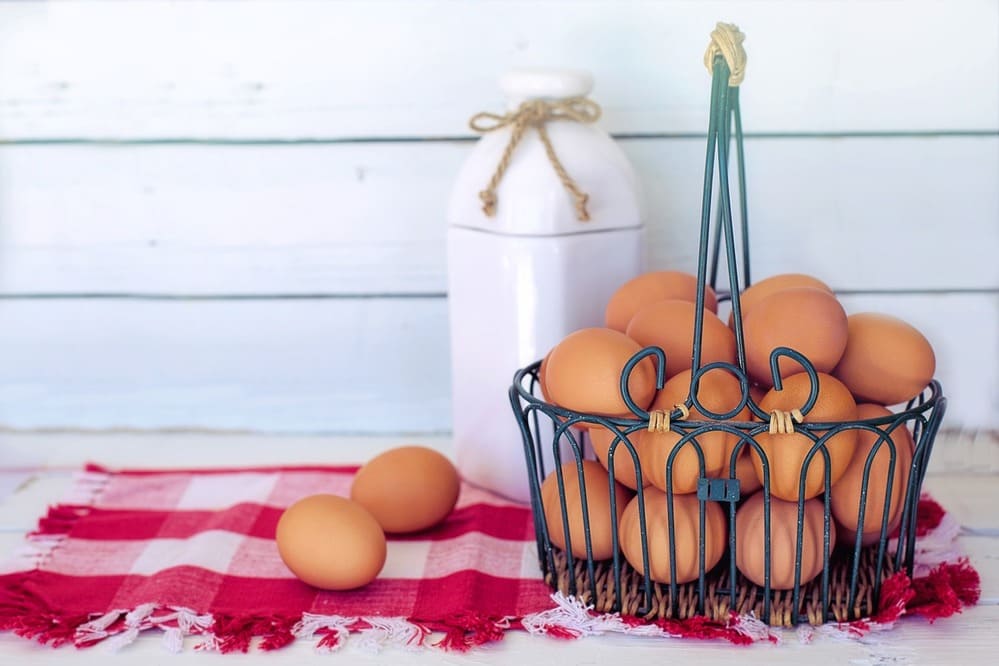 Alimentos de origem animal, como: Leite, queijo, ovos, e carnes são fontes de Vitamina B12