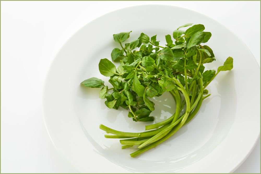 Apesar de pequeno, o agrião é uma potência nutricional. Ele oferece uma combinação equilibrada de vitaminas, minerais, fibras e antioxidantes, tudo isso com pouquíssimas calorias — cerca de 11 kcal por 100 g.